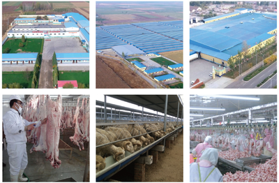 縣委書記李劍青深入康遠公司調研調度重點項目建設工作